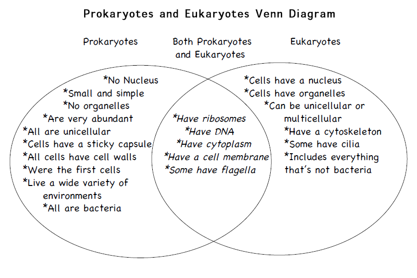 Prokaryotic Cells Vs Eukaryotic Cells Chart